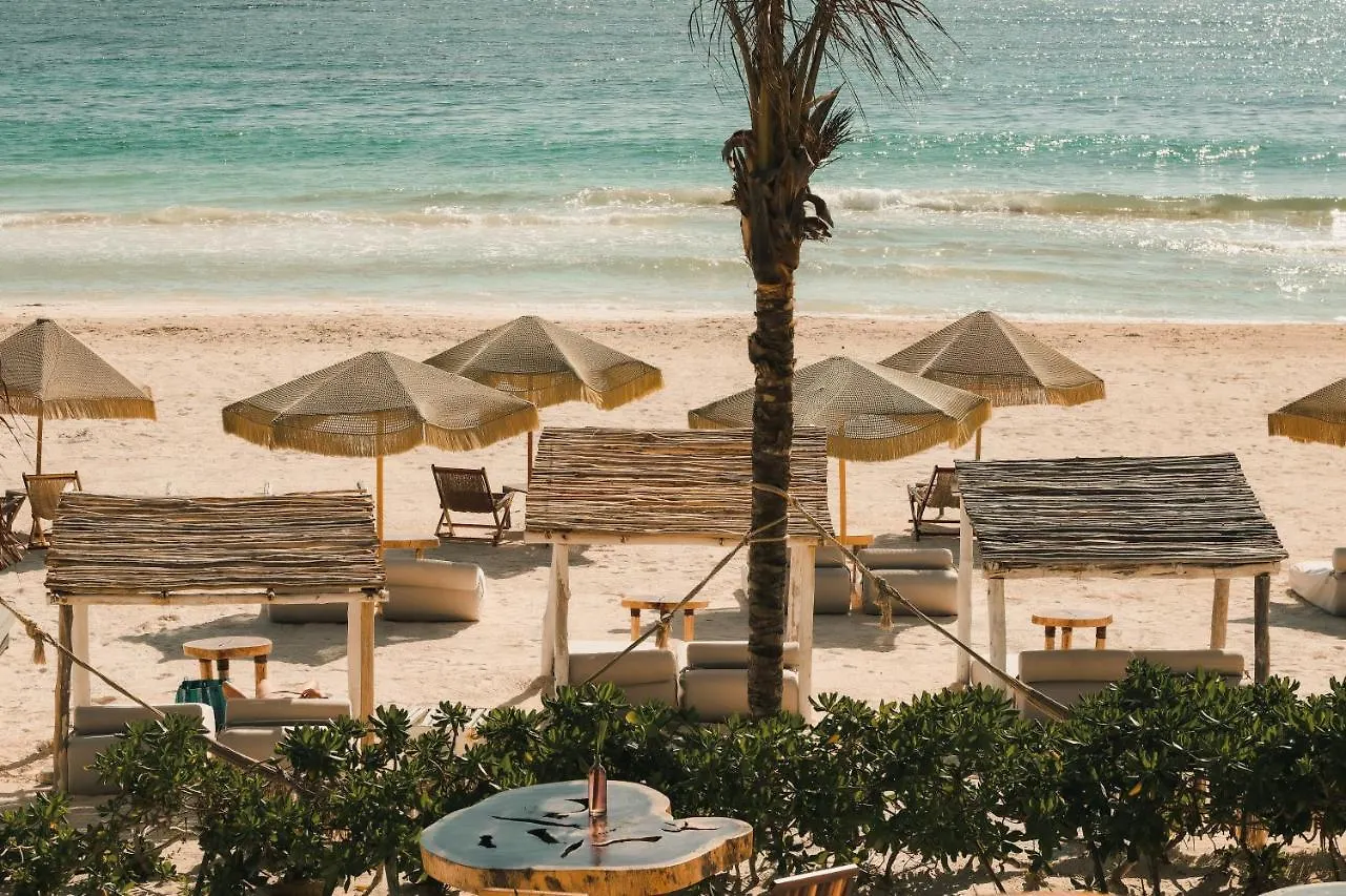 Orchid House Tulum Beach (Adults Only)