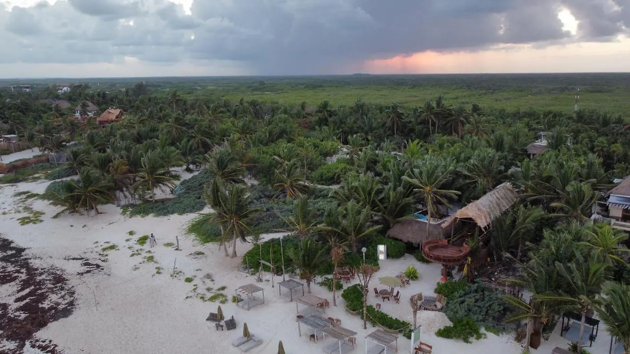 Orchid House Tulum Beach (Adults Only) 4*,