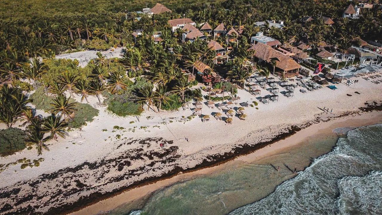 호텔 Orchid House Tulum Beach (Adults Only)
