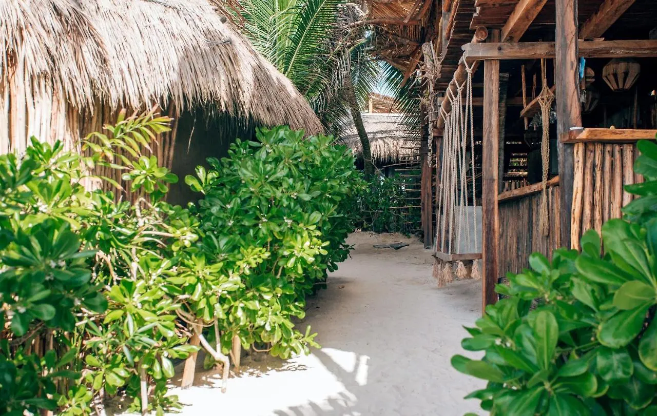 Orchid House Tulum Beach (Adults Only)