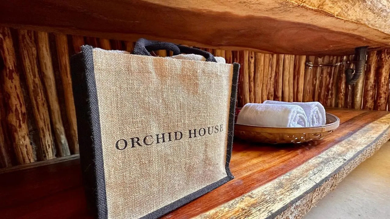 Orchid House Tulum Beach (Adults Only) Hotel