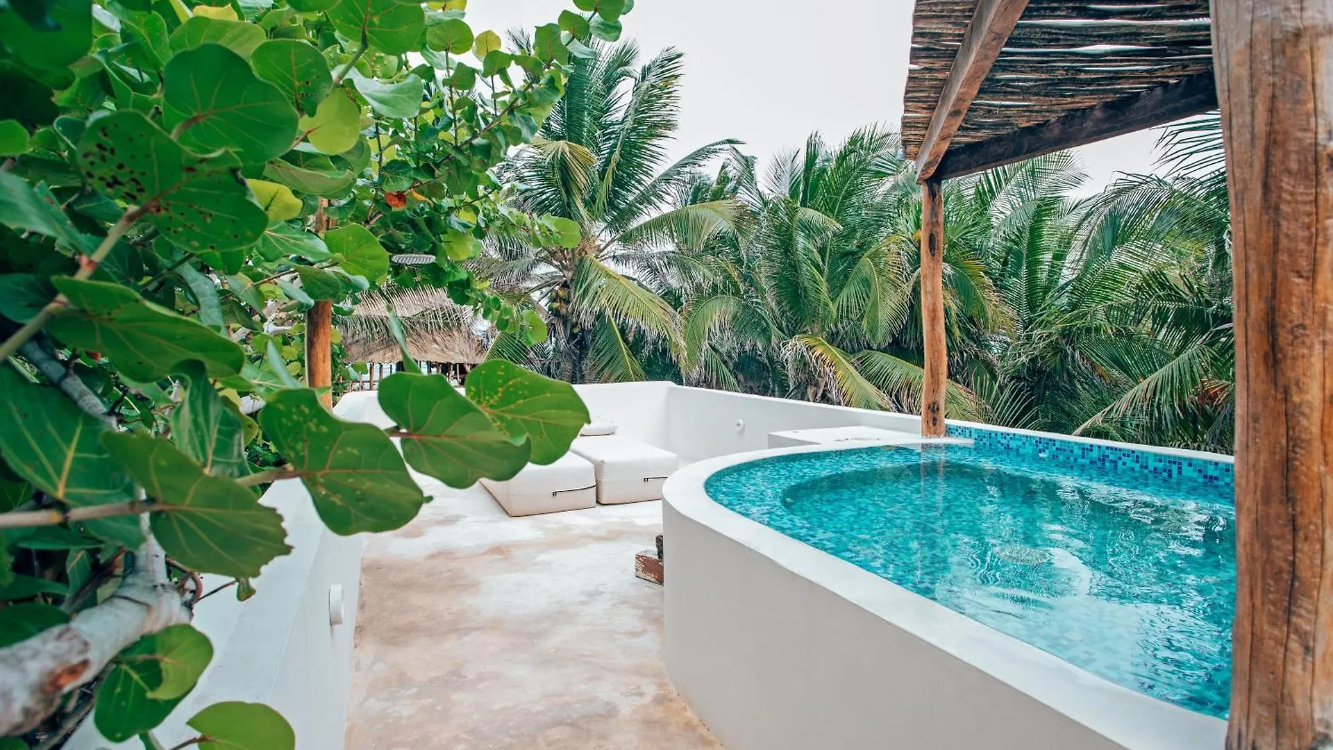 Orchid House Tulum Beach (Adults Only) Hotel